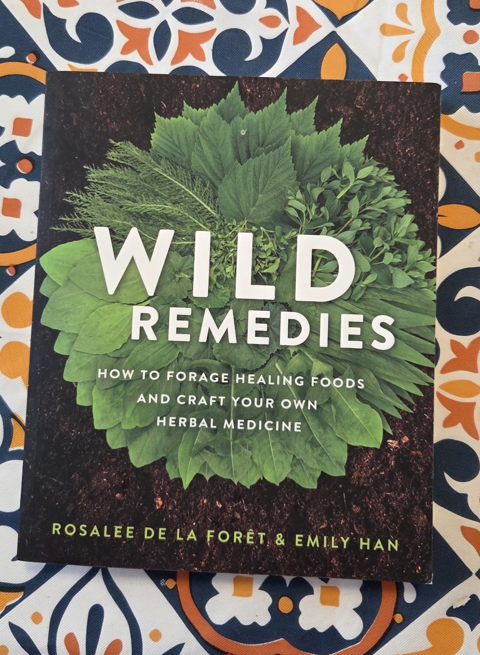 Wild Remedies: How to Forage Healing Foods and Craft Your Own Her - VERY GOOD